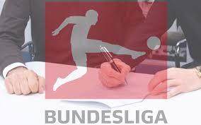 乐鱼体育-【德甲冬窗】18队花不过一支纽卡 “活下去”成主旋律